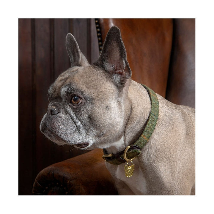 Digby & Fox Tweed Dog Collar