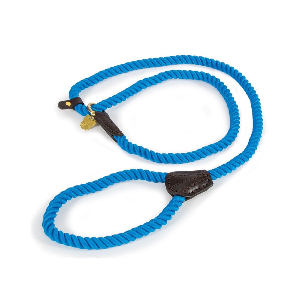 The Digby & Fox Lead Rope Style Slip Lead in Light Blue#Light Blue