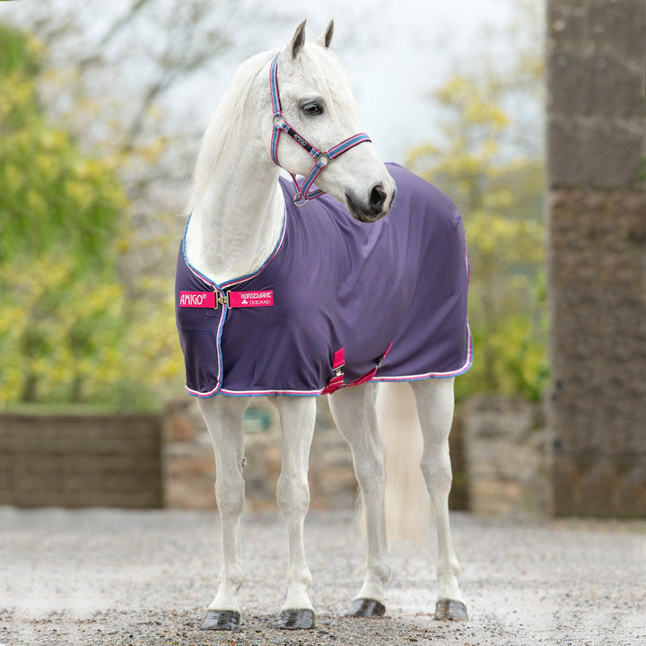 Amigo Pony Jersey Cooler in Purple#Purple