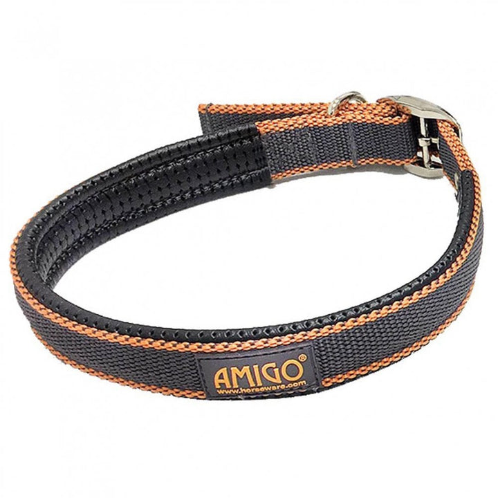 Amigo Dog Collar in Grey#Grey