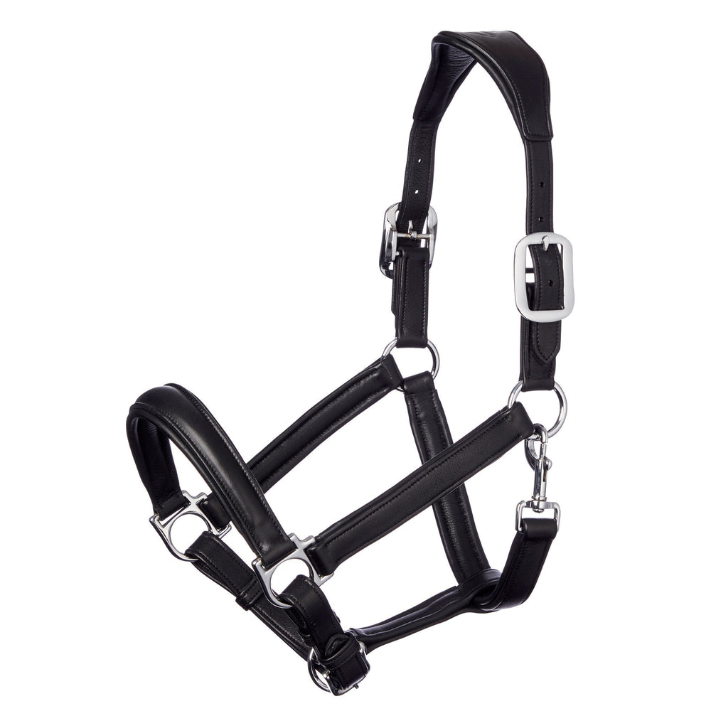 LeMieux Anatomic Leather Headcollar