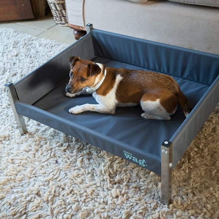 The Henry Wag Elevated Dog Bed in Grey#Grey
