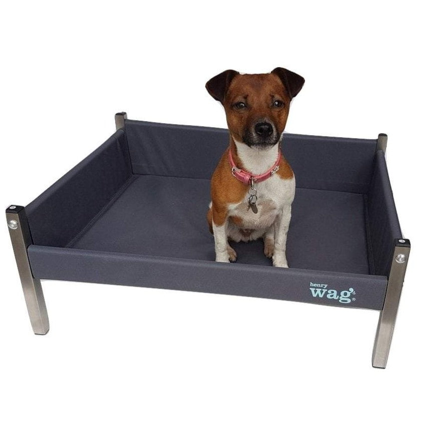 Henry Wag Elevated Dog Bed Raised Pet Bed Millbry Hill