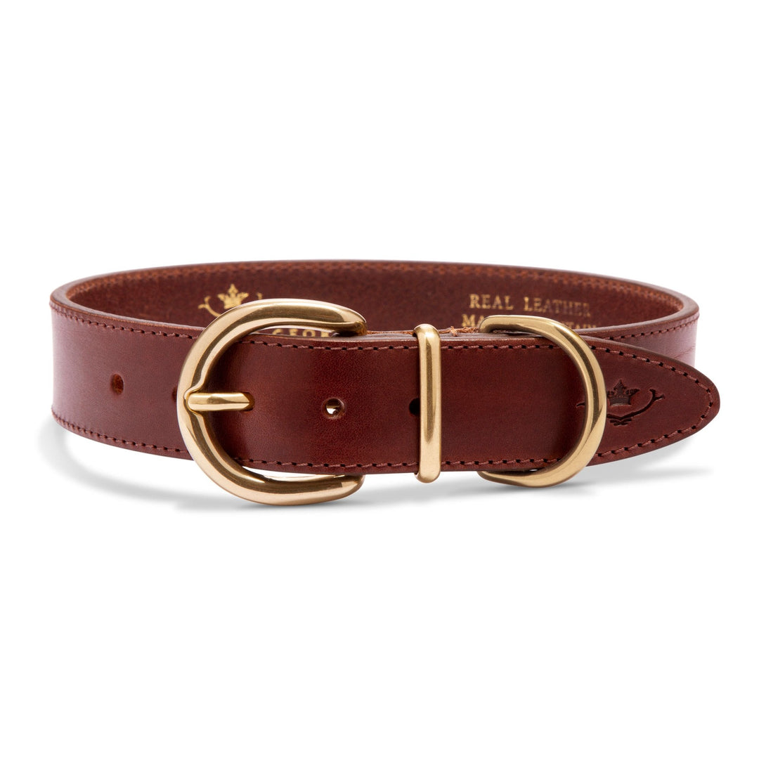 The Mackenzie & George Dog Collar - Without Cartridges in Brown#Brown