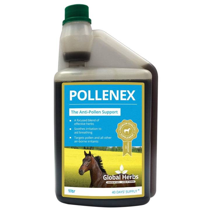 Global Herbs PolleneX Syrup 1L