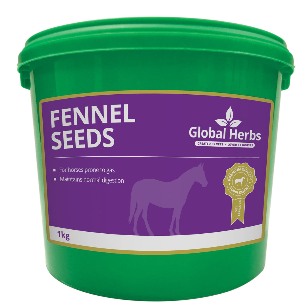 Global Herbs Fennel Seeds