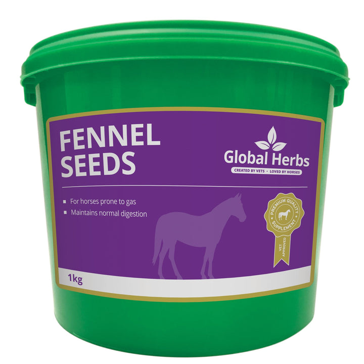 Global Herbs Fennel Seeds