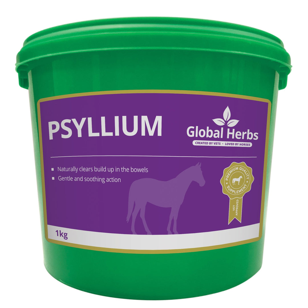 Global Herbs Psyllium Horse Supplement 1kg