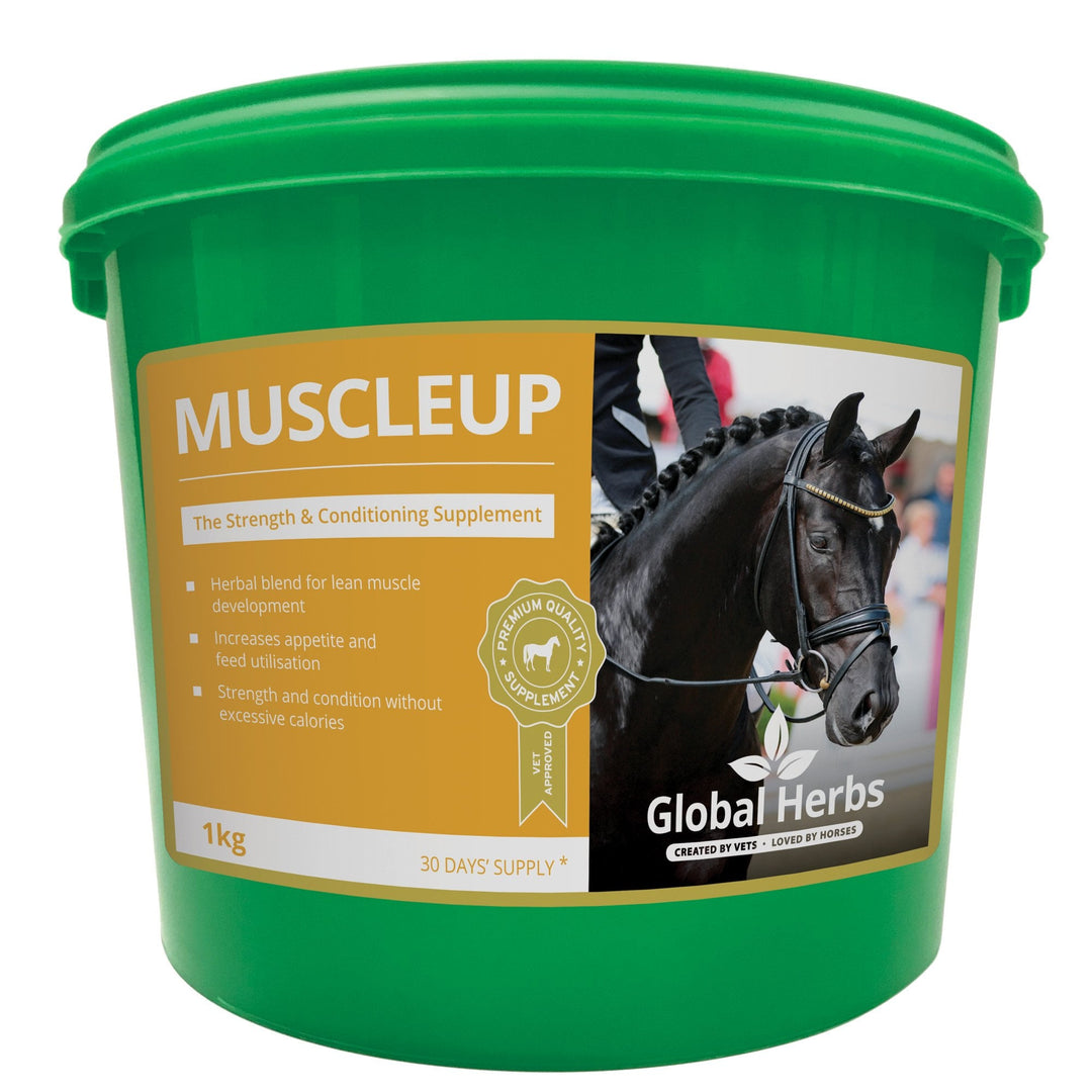 Global Herbs MuscleUp 1kg