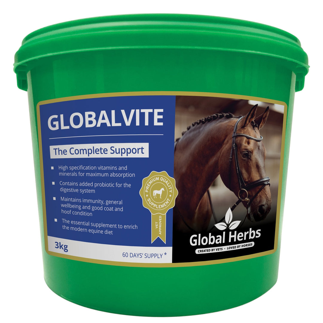 Global Herbs GlobalVite Supplement for Horses and Ponies 3kg