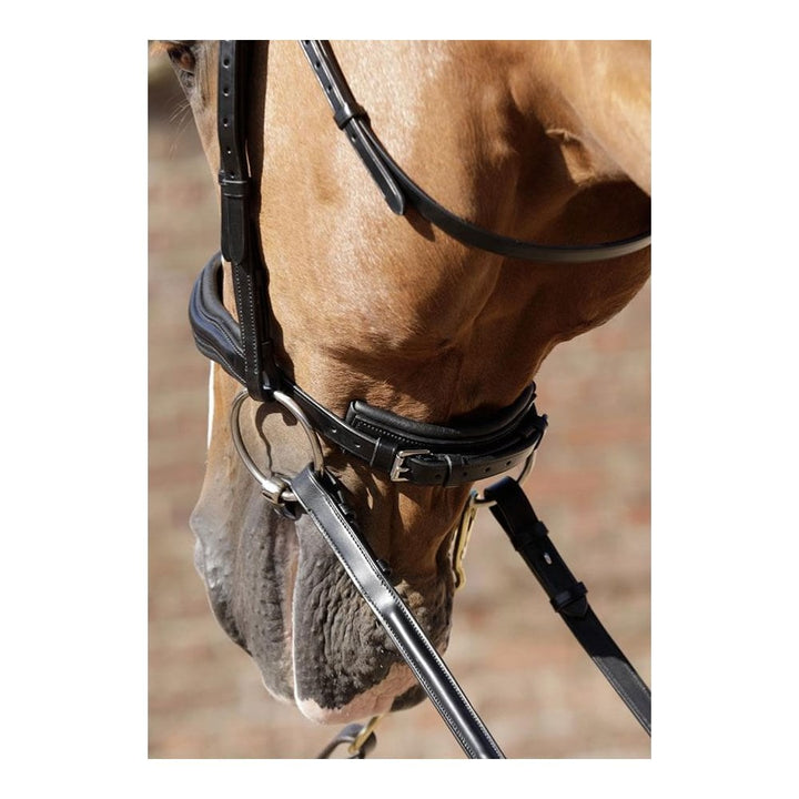 Premier Equine Verdura Anatomic Snaffle Bridle
