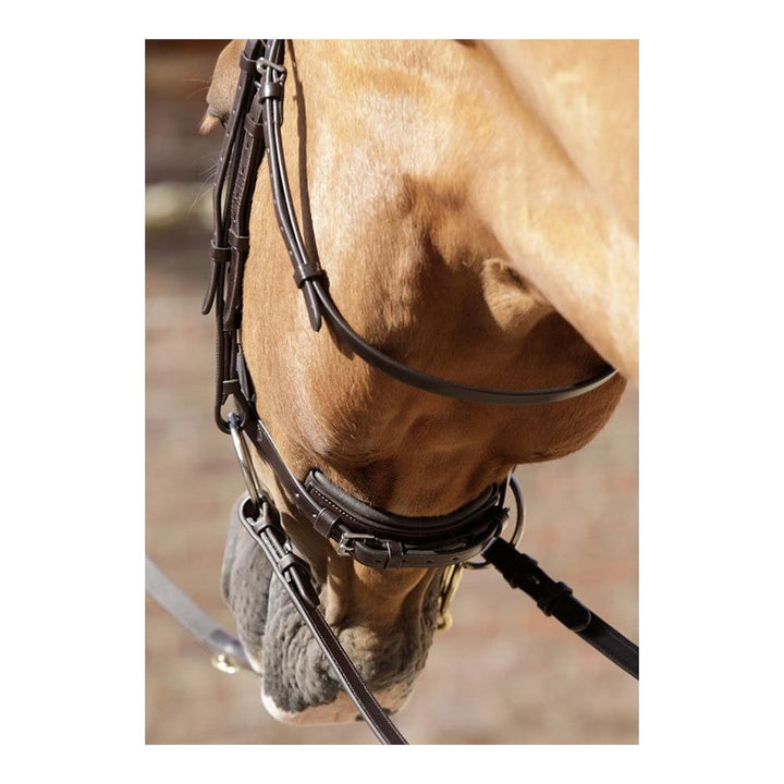 Premier Equine Verdura Anatomic Snaffle Bridle