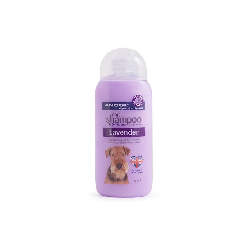 Ancol Dog Shampoo Lavender 500ml