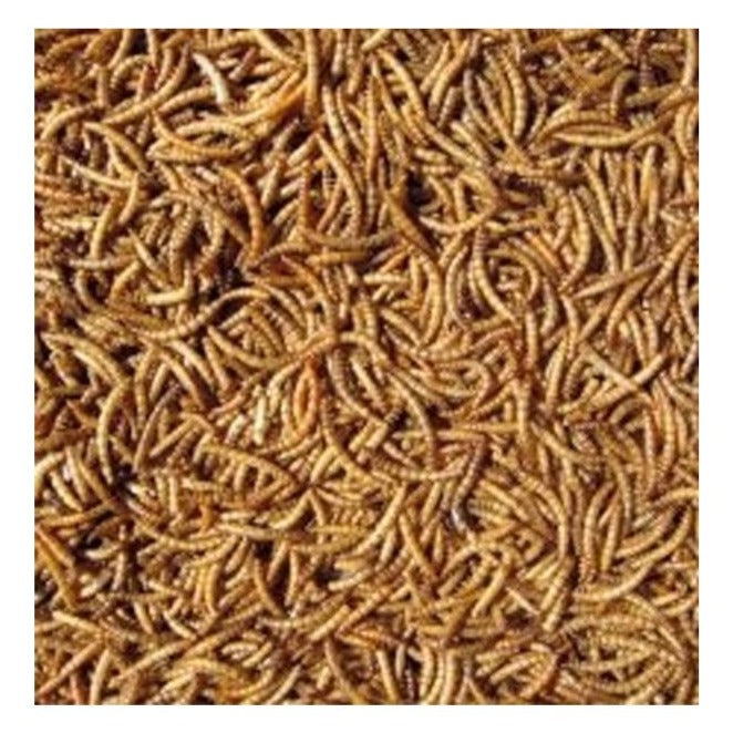 Hutton Mill Dried Mealworms 2kg