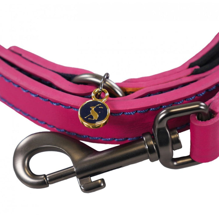 Joules Leather Dog Lead