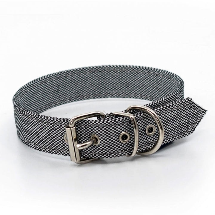 The Project Blu Alpha Eco Dog Collar in Grey#Grey