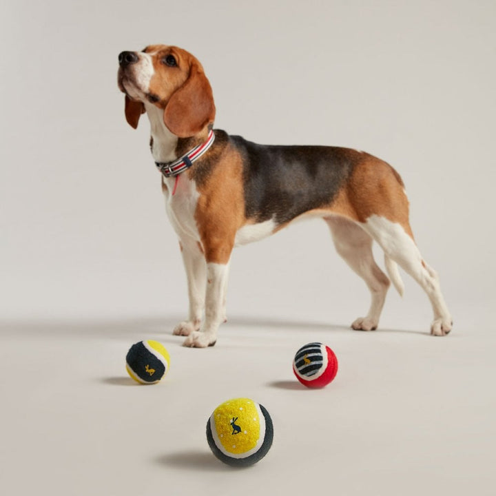 Joules Outdoor Balls for Dogs (3 Pack)