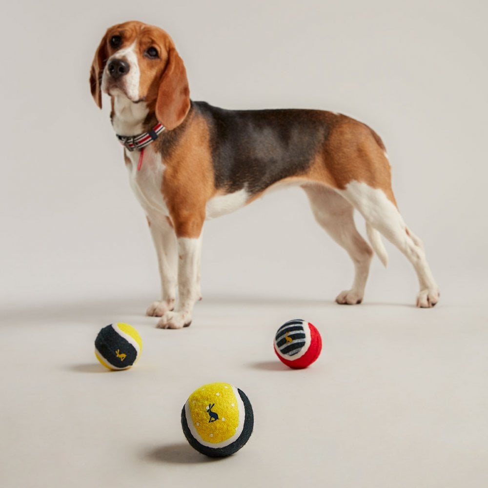 Joules Outdoor Balls for Dogs (3 Pack)