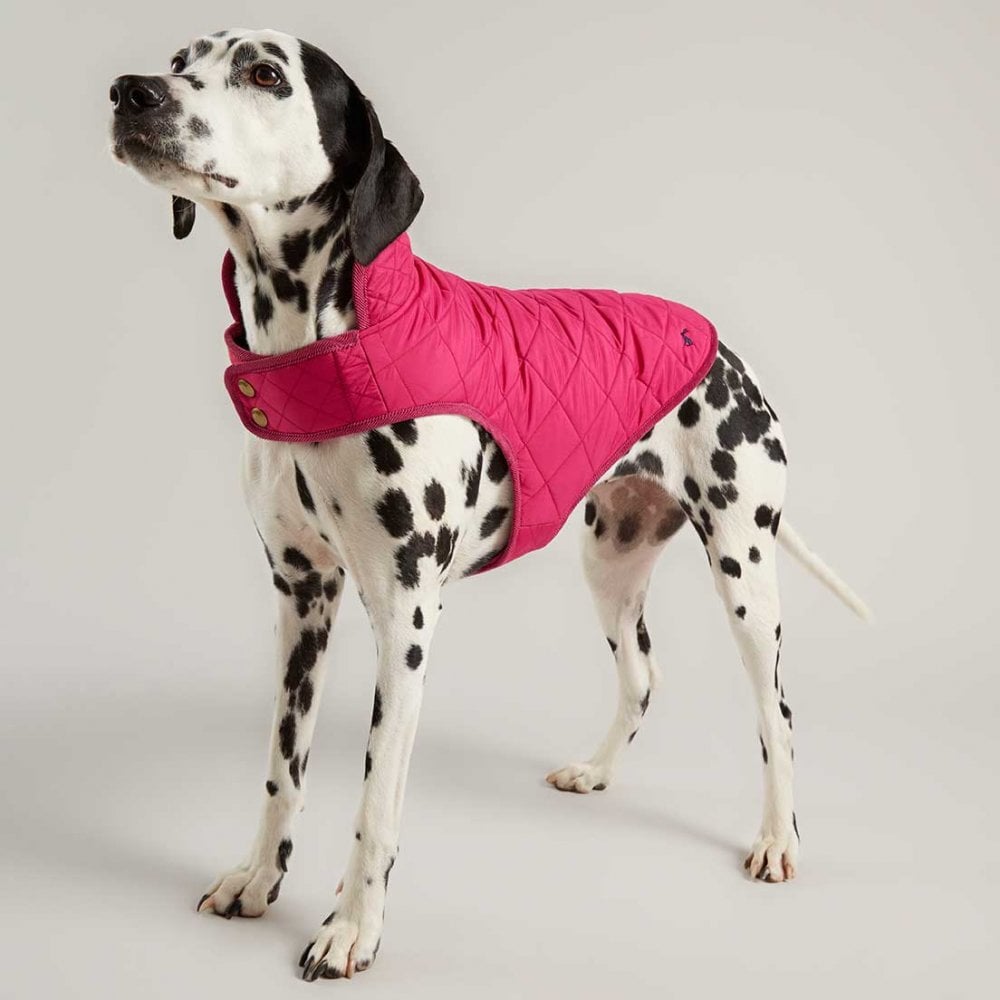 The Joules Newdale Quilted Dog Coat in Pink#Pink