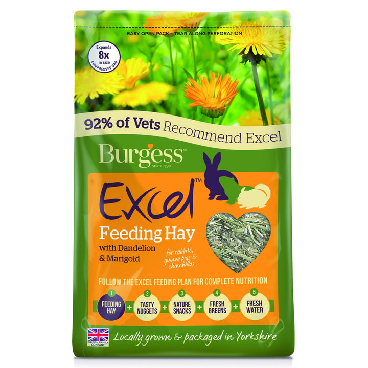 Burgess Excel Feeding Hay with Dandelion & Marigold 1kg