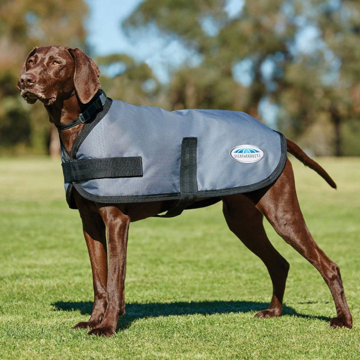 The WeatherBeeta Comfitec Classic Waterproof Dog Coat in Grey#Grey