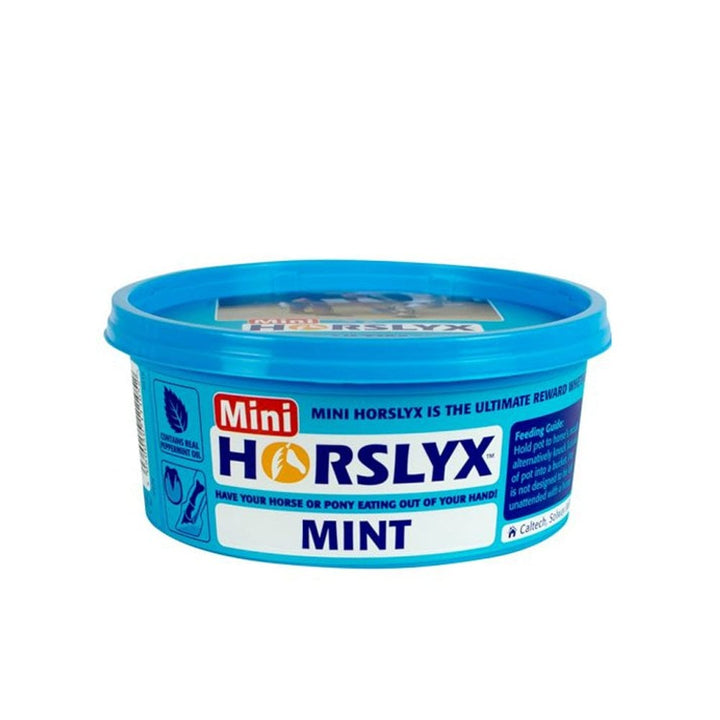 Horslyx Mint Mini Lick 650g