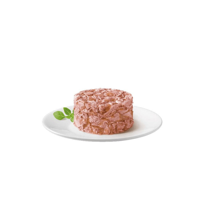 Gourmet Gold Savoury Cake with Salmon Cat Food Mini Tin