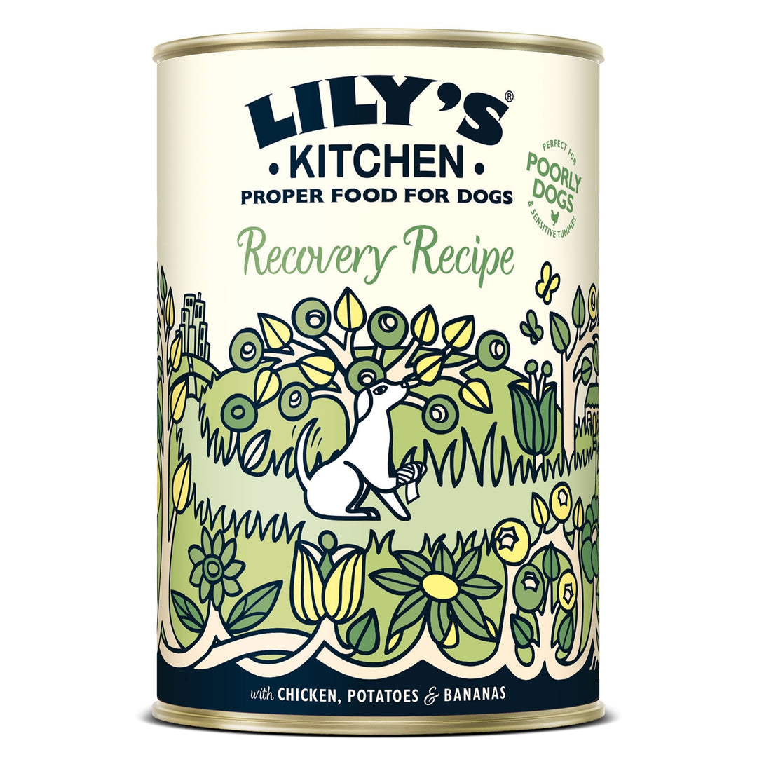Lilys Kitchen Recovery Recipe for Dogs 400g