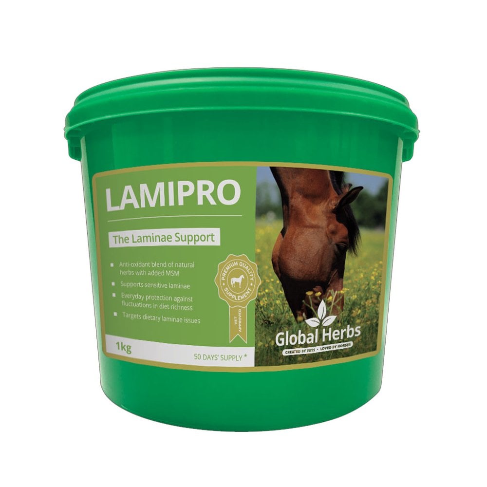 Global Herbs LamiPro Powder 1kg