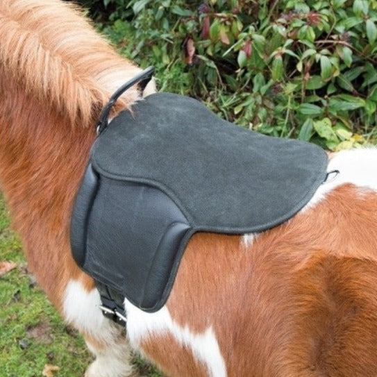 The Shires Aviemore Pony Pad in Black#Black