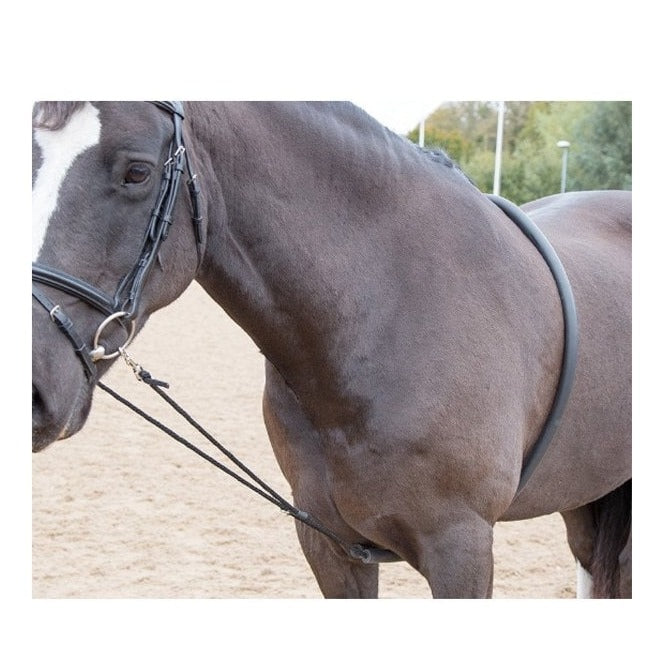 The Shires Soft Lunging Aid in Black#Black