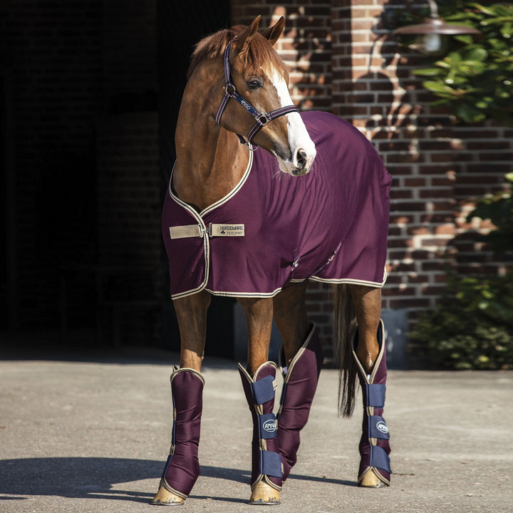 Amigo Jersey Standard Cooler Rug in Burgundy#Burgundy