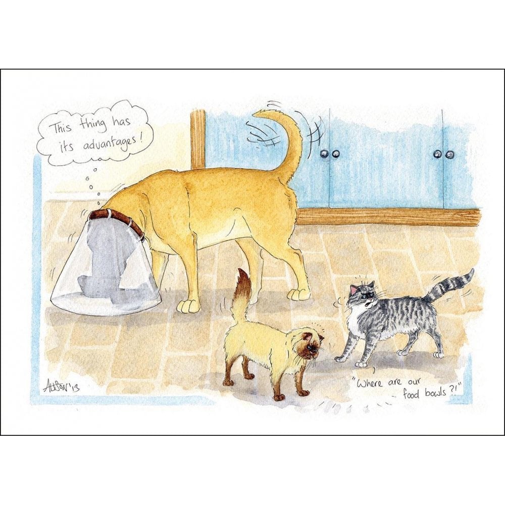Splimple "Where Are Our Food Bowls" Greetings Card