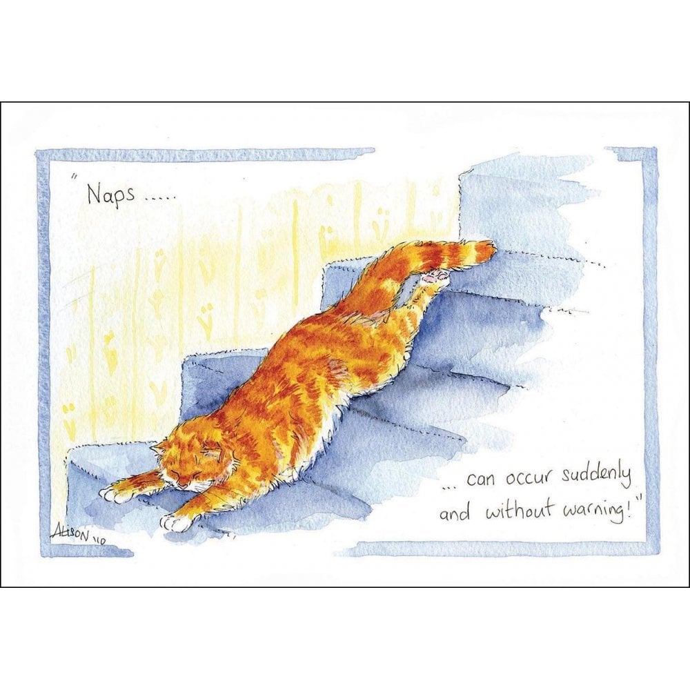 Splimple "Naps Can Occur Suddenly" Greetings Card