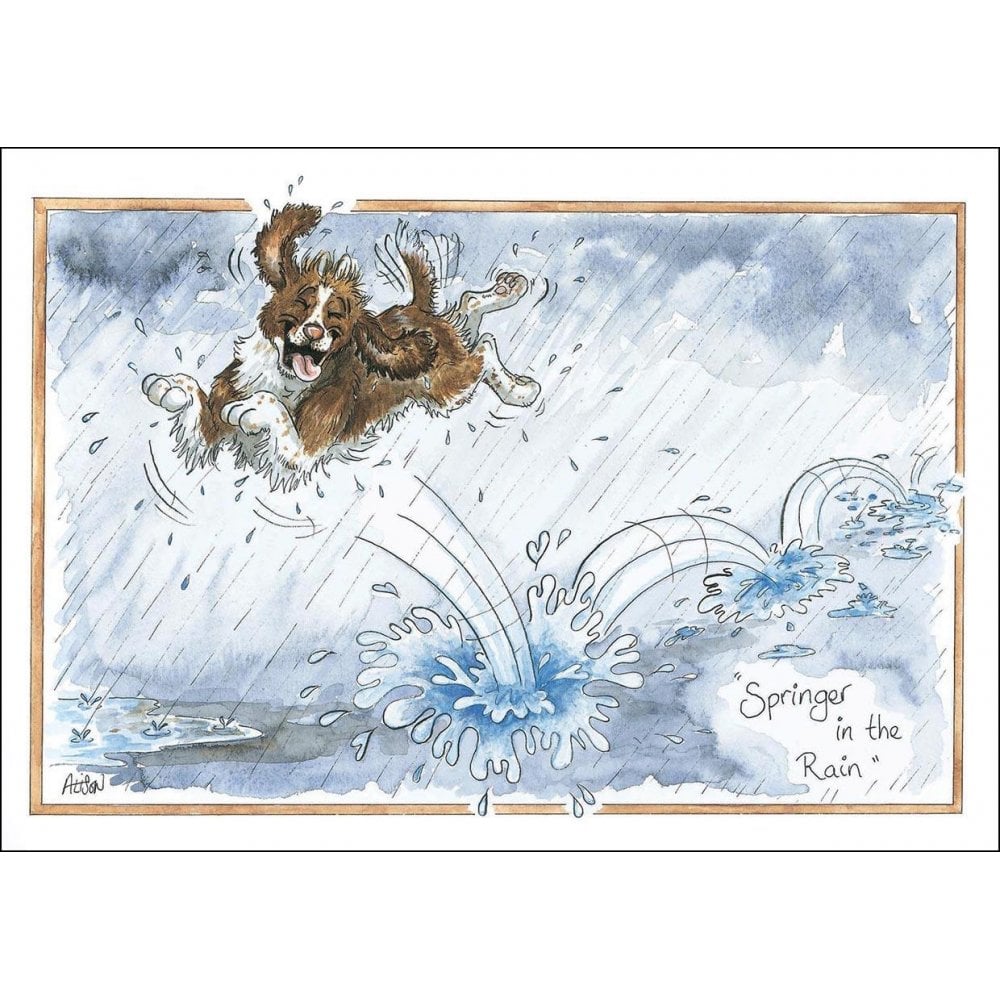 Splimple "Springer In The Rain" Greetings Card