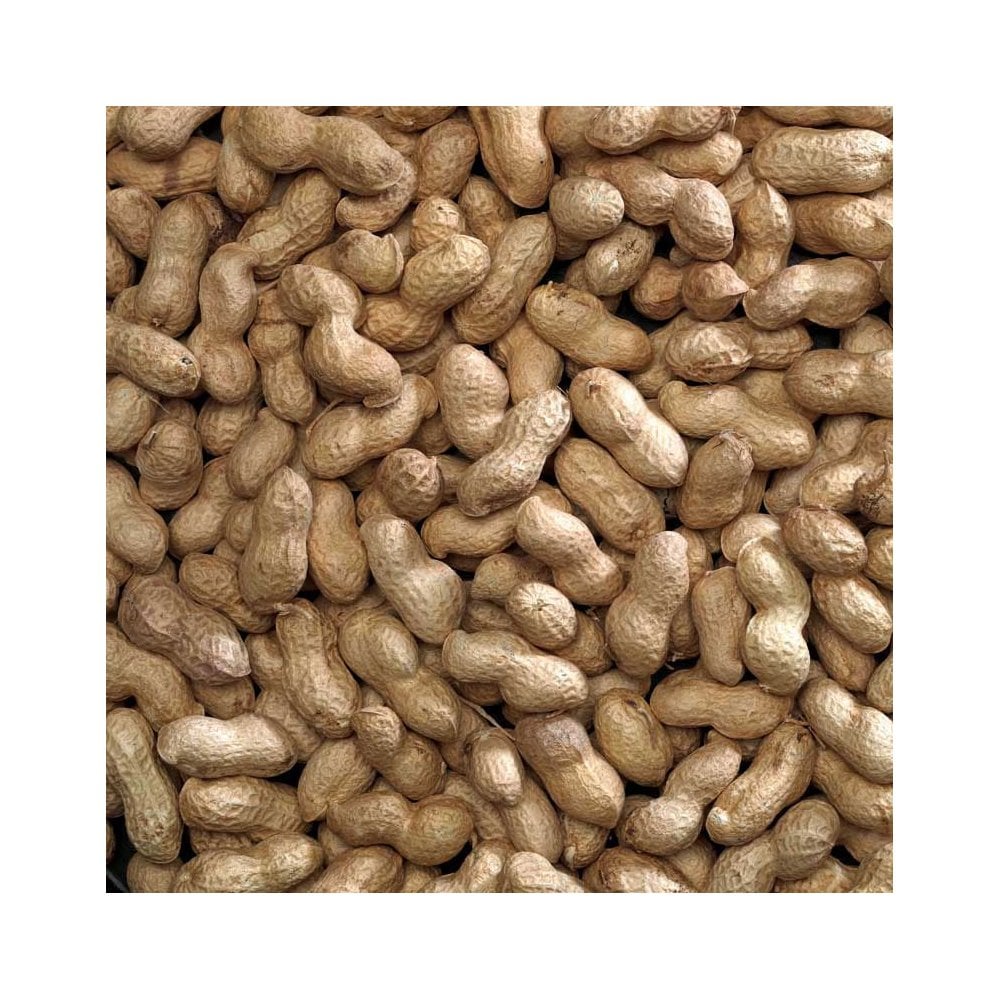 Bucktons Peanuts In Shells