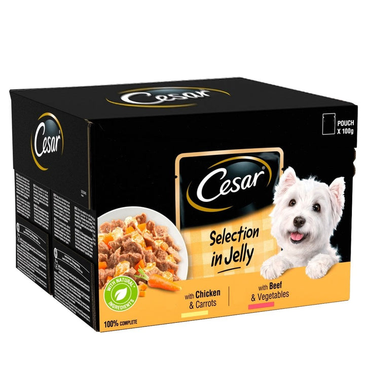Cesar Deliciously Fresh Dog Food Selection in Jelly (48x100g Pouches)
