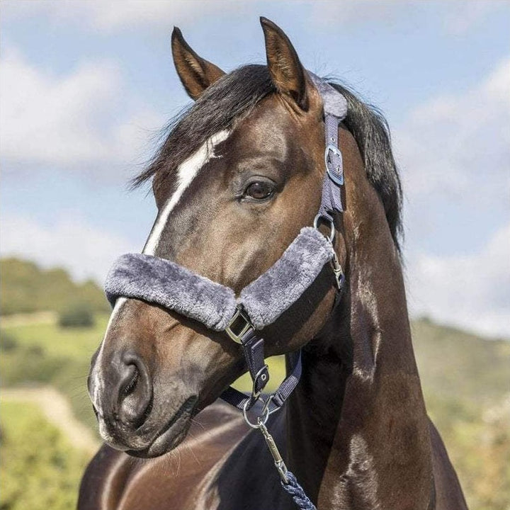 The LeMieux Comfort Fleece Headcollar in Grey#Grey