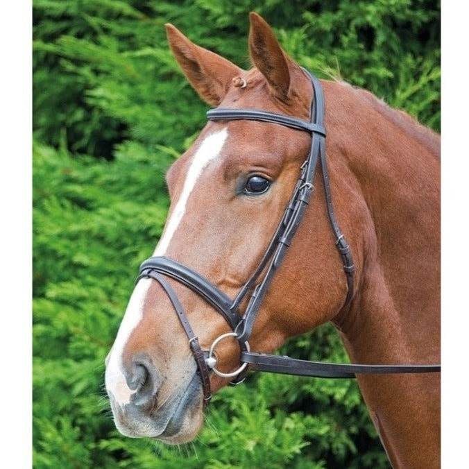 The Shires Aviemore Comfort Fit Bridle with Flash Noseband in Black#Black