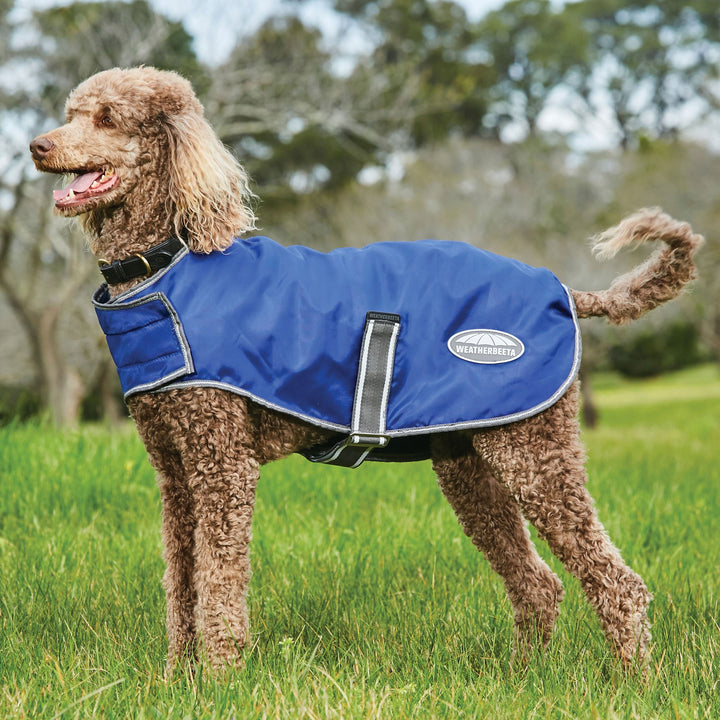 Weatherbeeta Comfitec Windbreaker Free Dog Coat