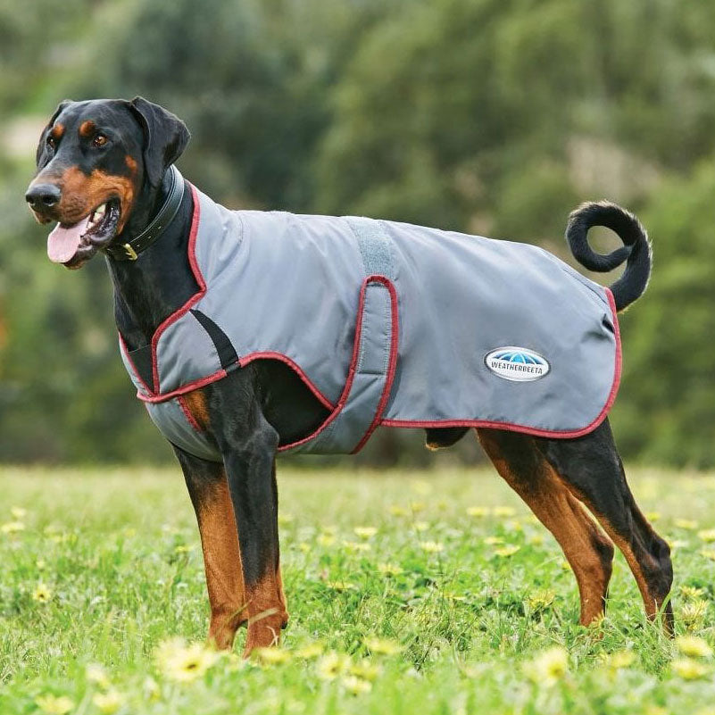 Weatherbeeta Comfitec Windbreaker Free Deluxe Dog Coat in Grey#Grey