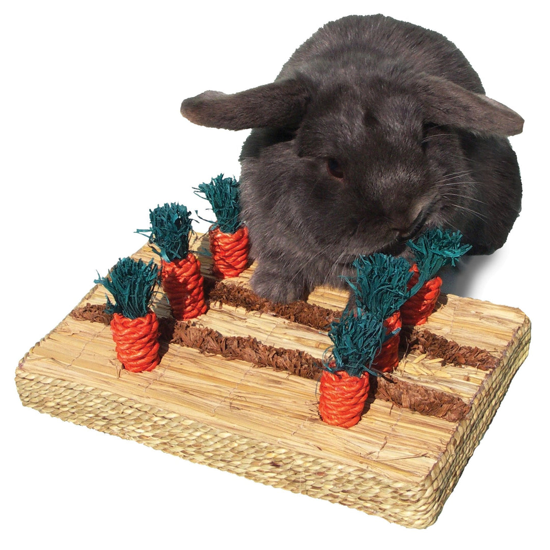 Boredom Breaker Carrot Play Patch Small Animal Toy