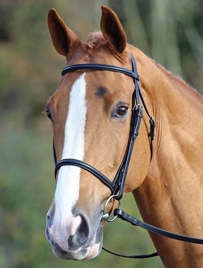The Shires Aviemore Raised Cavesson Bridle in Black#Black