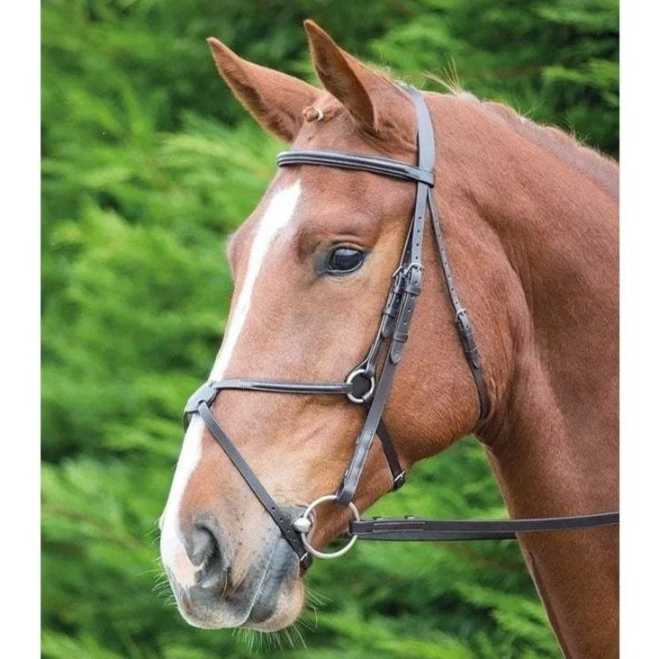 The Shires Aviemore Mexican Grackle Bridle in Black#Black