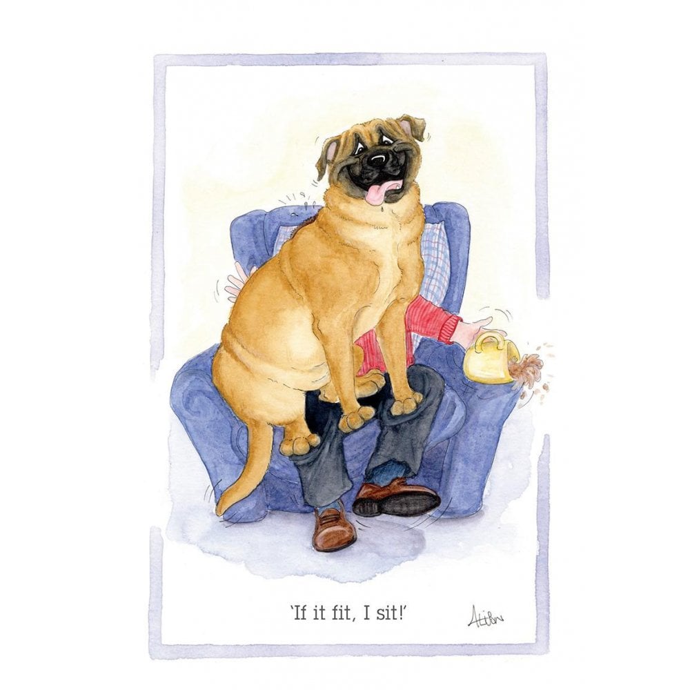 Splimple "If I Fit, I Sit" Greetings Card