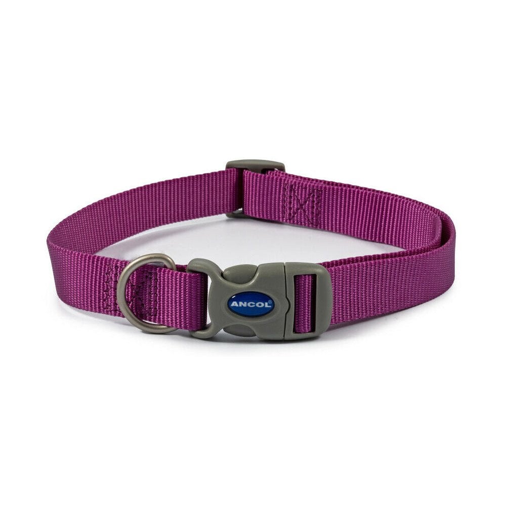The Ancol Viva Quick Fit Dog Collar in Purple#Purple