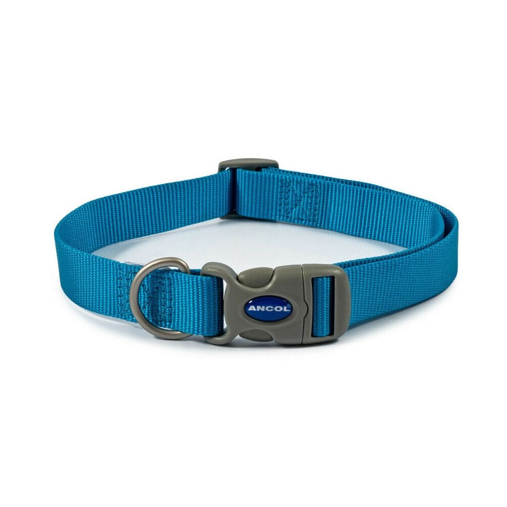 The Ancol Viva Quick Fit Dog Collar in Blue#Blue