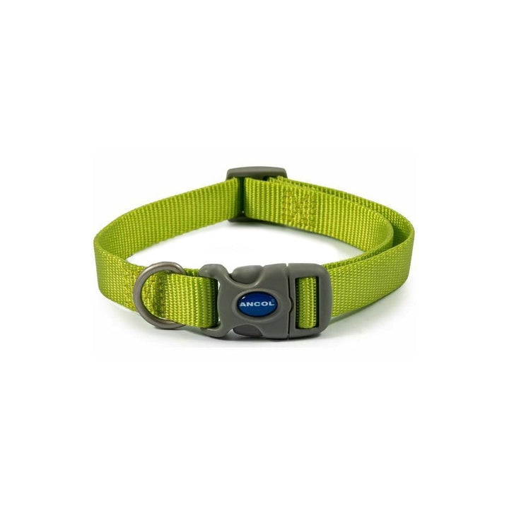 The Ancol Viva Quick Fit Dog Collar in Lime#Lime