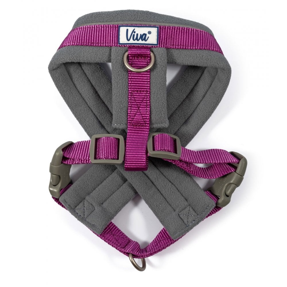 The Ancol Viva Padded Harness for Dogs in Purple#Purple