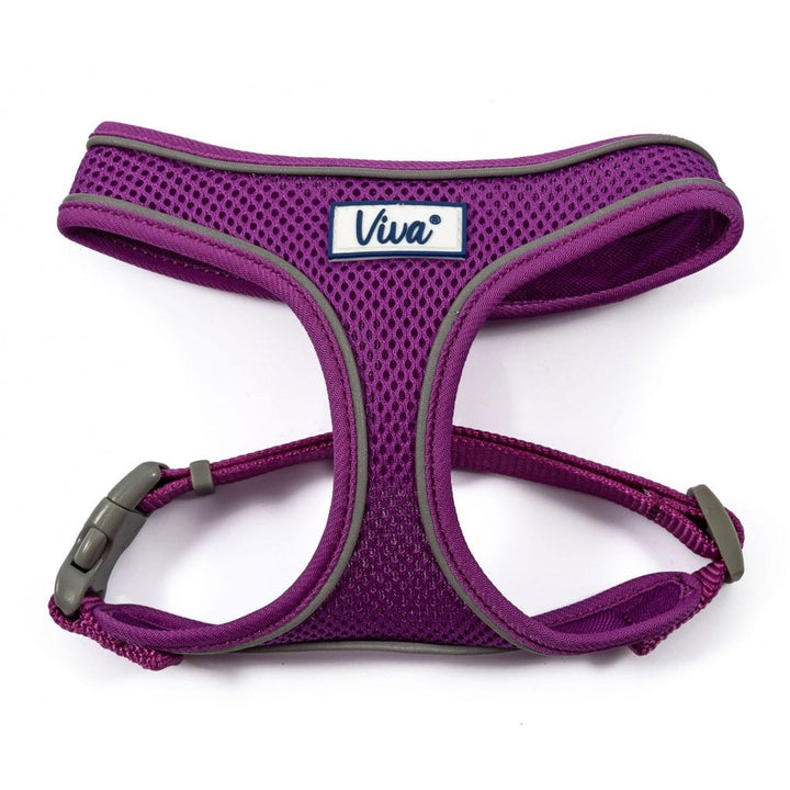 The Ancol Viva Mesh Harness for Dogs in Purple#Purple